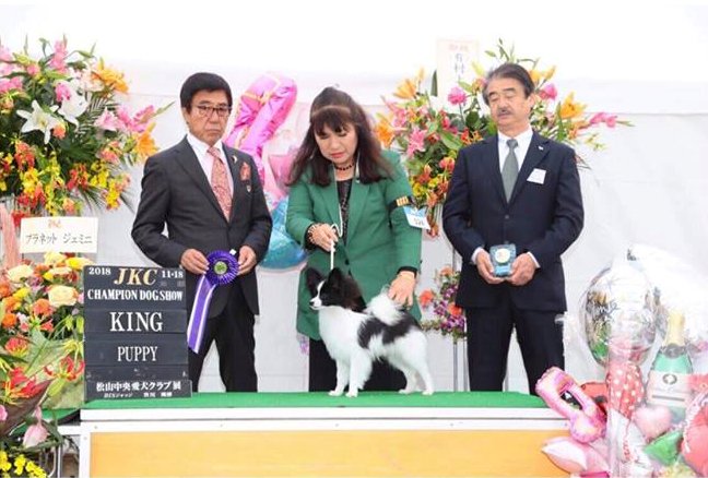 Queen Bless JJ - Best Puppy in Show