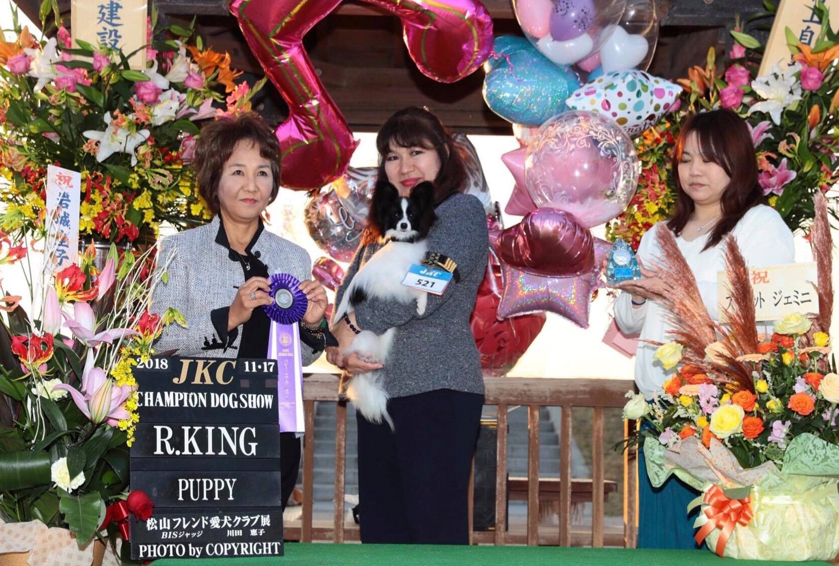 Queen Bless JJ - Reserve Best Puppy in Show