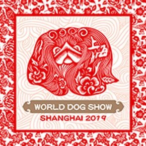 WDSshanghai